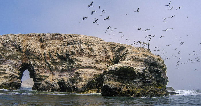 EXCURSION A LAS ISLAS DEL CALLAO – ISLAS PALOMINO