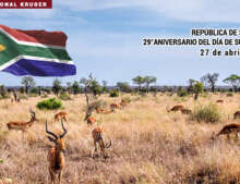 29° aniversario del día de la Libertad de la República de Sudáfrica.