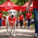 SuperPet Fest