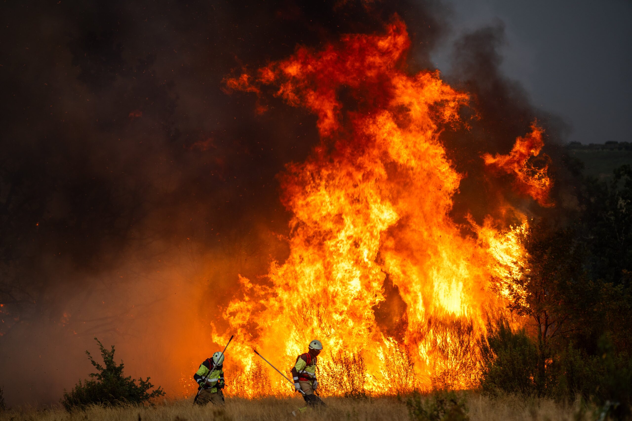Los bomberos del Ayuntamiento de Zamora luchan contra el fuego en la localidad de Losacio.