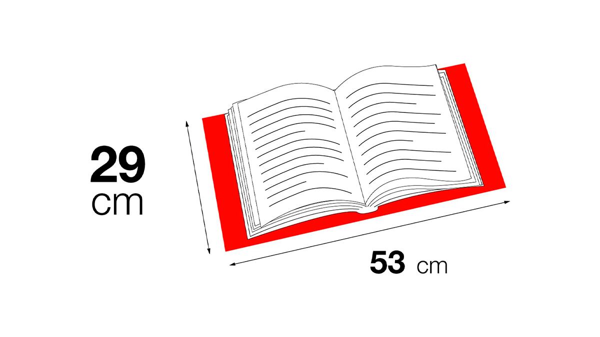 29 x 53 cm.