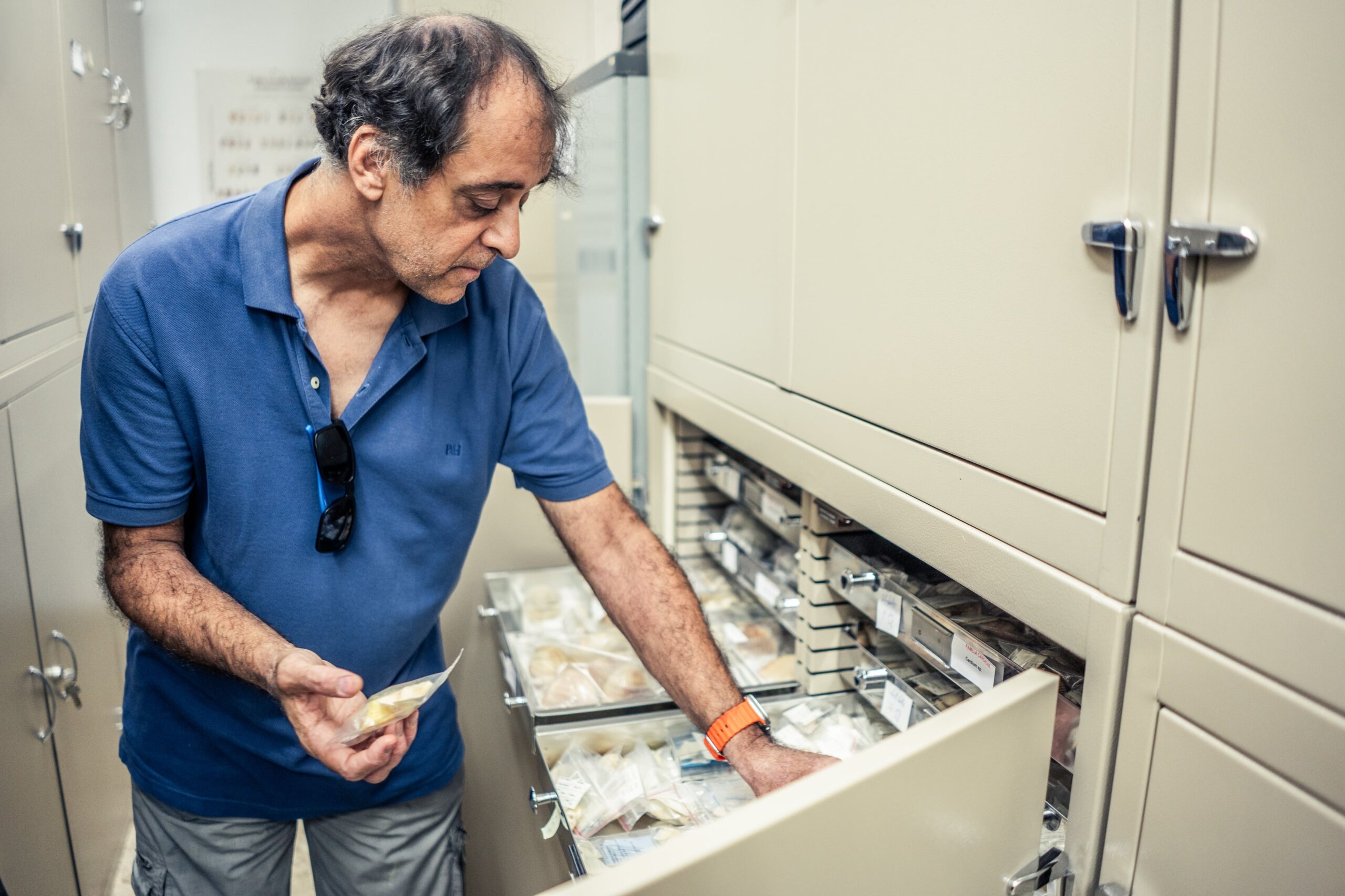 Francisco Javier de Andrés Cobeta, conservador de la colección de malacología en el Museo de Ciencias Naturales de Madrid.