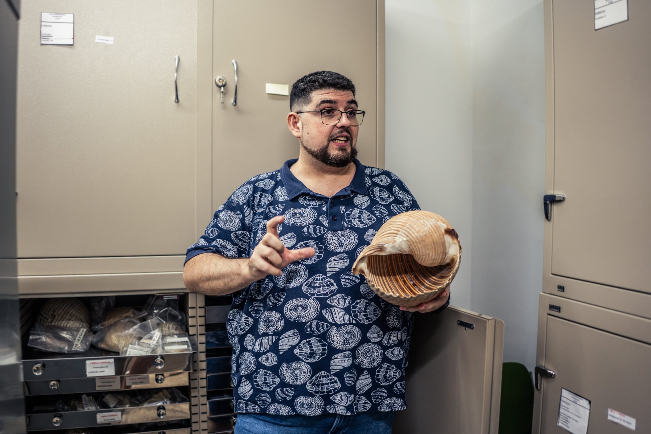 Fernando García Guerrero, personal técnico de la colección de malacología, sostiene y explica un ejemplar de ‘Tonna galea’ en el Museo de Ciencias Naturales de Madrid.