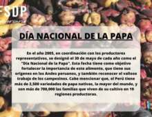 30 DE MAYO, Día Nacional de la papa 2023